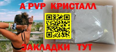 СК Будённовск