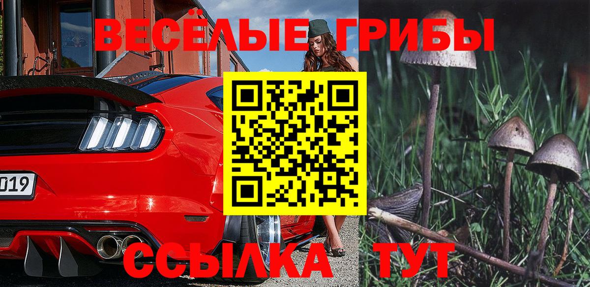 Галлюциногенные грибы GOLDEN TEACHER Полевской